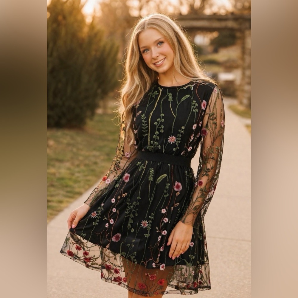 Whimsigoth Mini Dress Dark Romantic Sheer Floral Small SKU 20